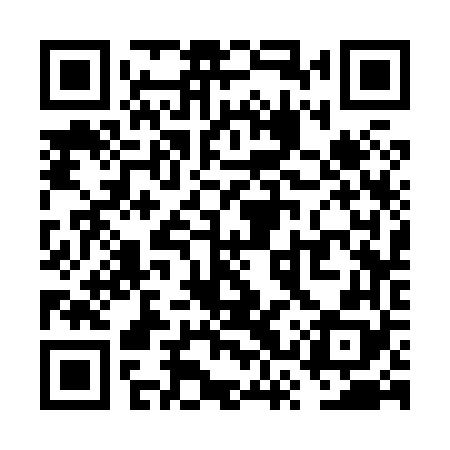 QR code for VSS868
