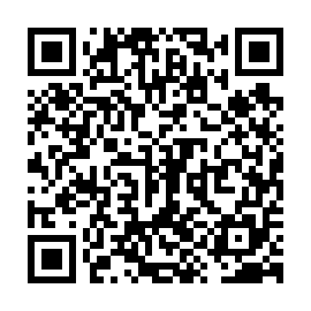 QR code for VYE655