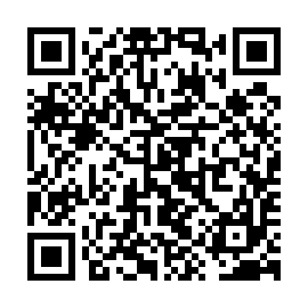 QR code for VYS597