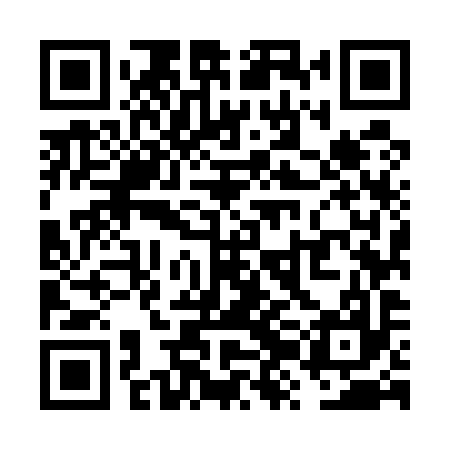 QR code for VZM597