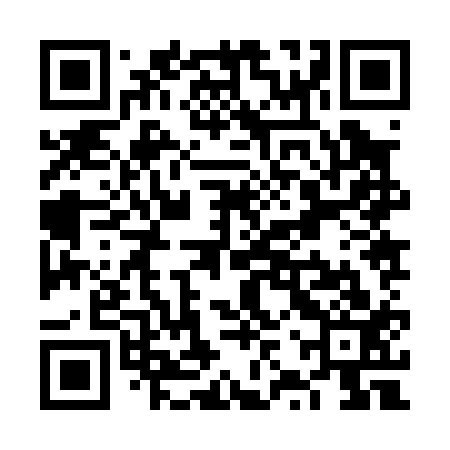 QR code for VZZ013