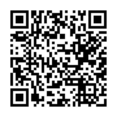 QR code for WFE381