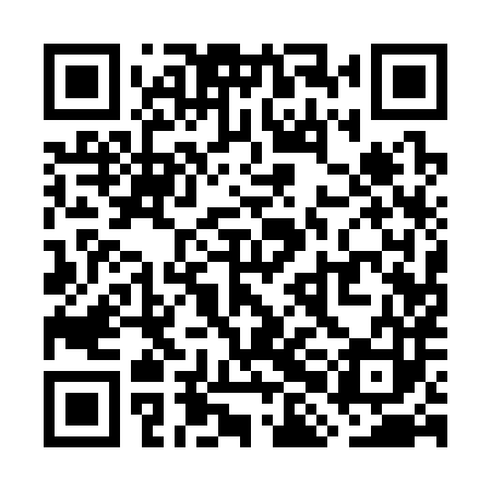 QR code for WHA383