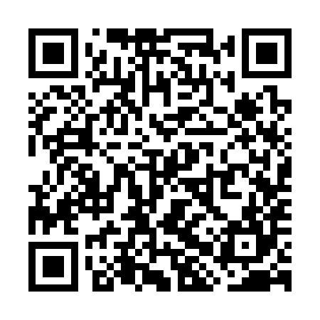 QR code for WHS384