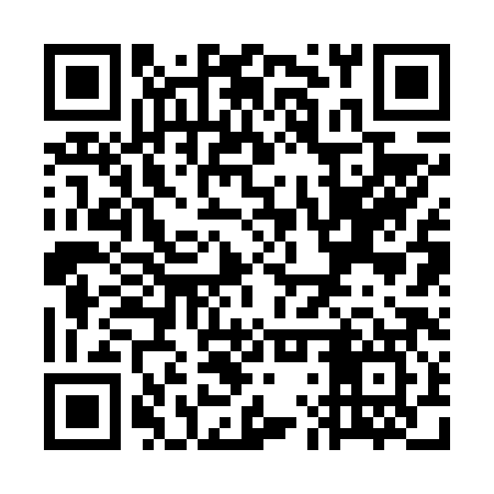 QR code for WLR687