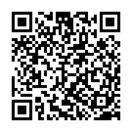 QR code for WPA161