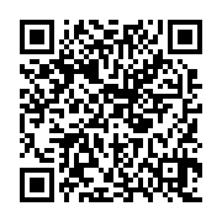 QR code for WPL234
