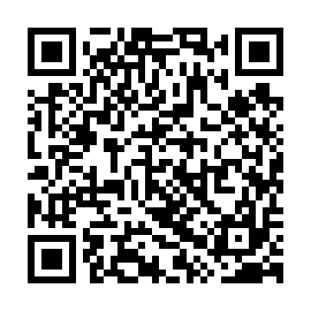 QR code for WPY617
