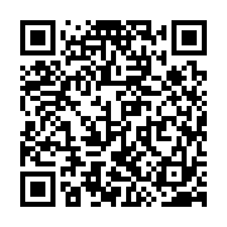 QR code for WSY333