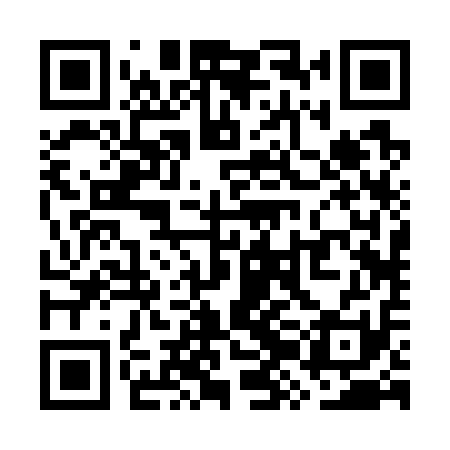 QR code for WZB711