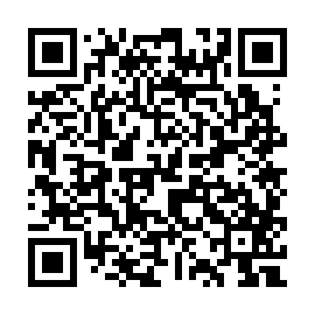QR code for WZO387