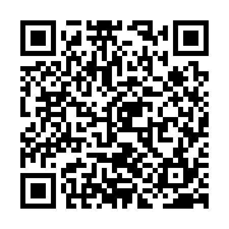 QR code for XAG334