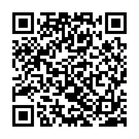 QR code for XBO333