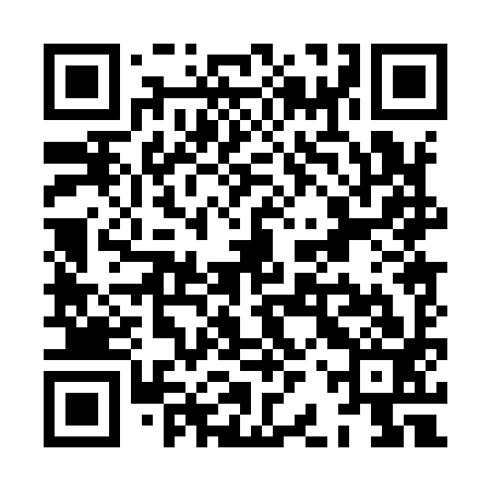 QR code for XBP993