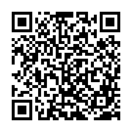 QR code for XDK246
