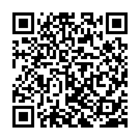 QR code for XDM338