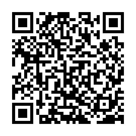 QR code for XDN311
