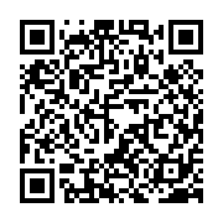 QR code for XGE011