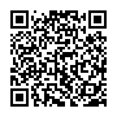 QR code for XGX239