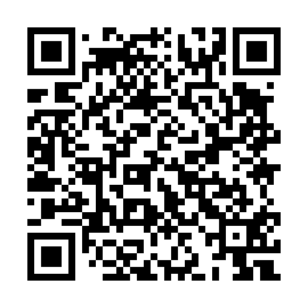QR code for XJI411