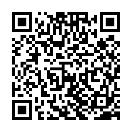 QR code for XJK533