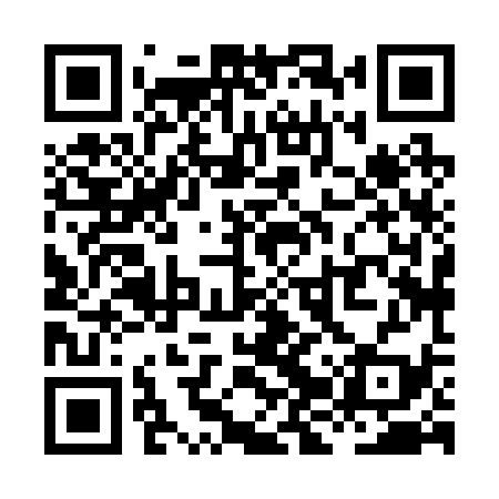 QR code for XJX239
