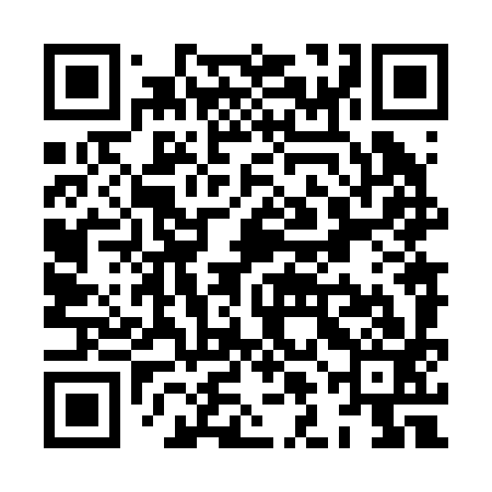 QR code for XLN293