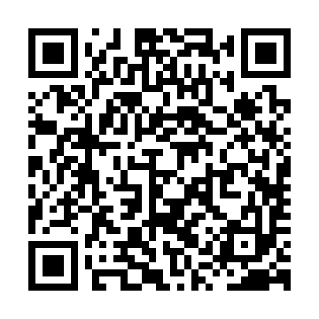 QR code for XQR393