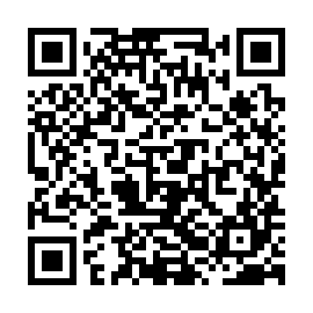 QR code for XRK384