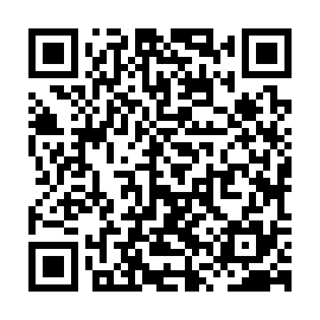 QR code for XVZ335
