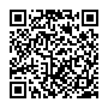 QR code for XYG333