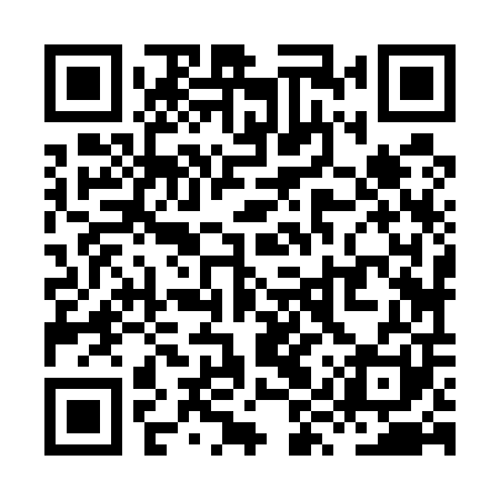 QR code for XYZ501