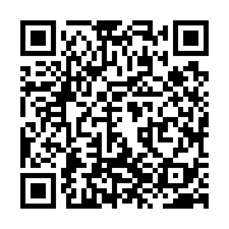 QR code for XZJ739