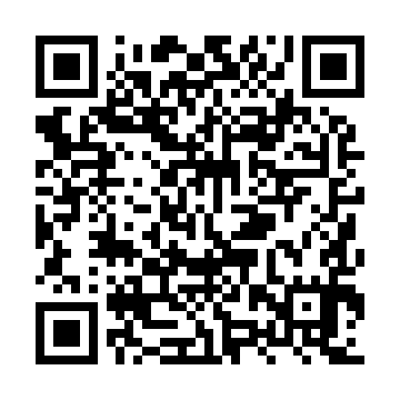 QR code for XZP995