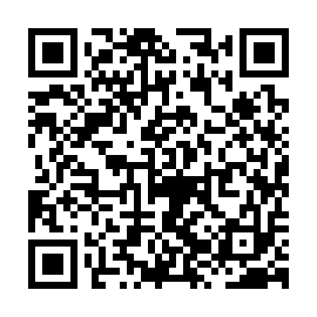 QR code for XZY313