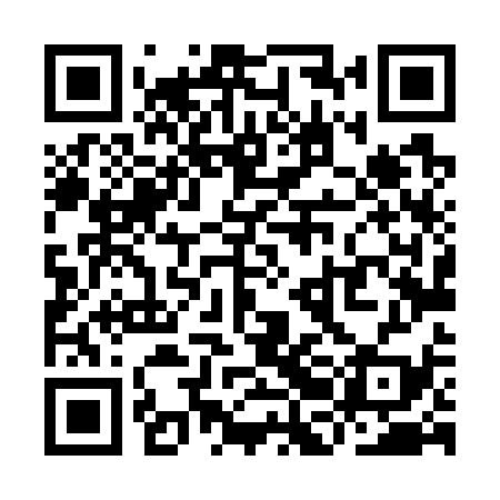 QR code for YBL739
