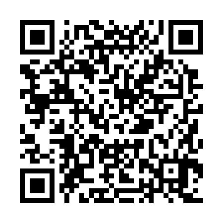 QR code for YBP384