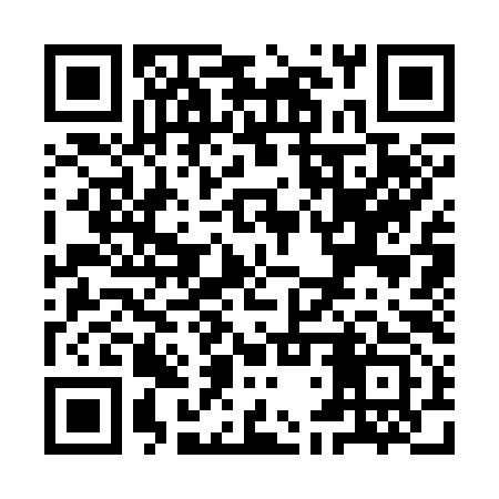 QR code for YDS393