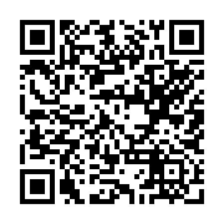 QR code for YFM293