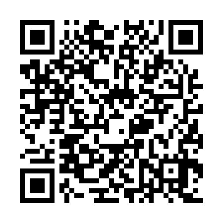 QR code for YFV137