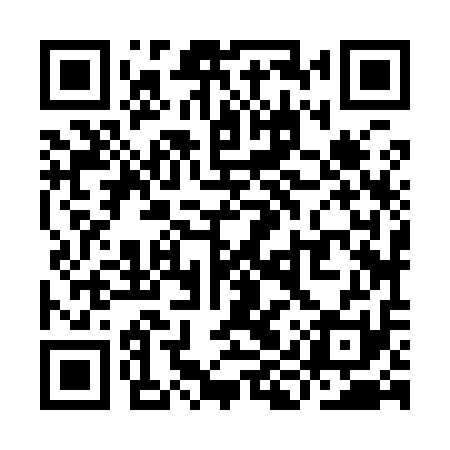 QR code for YIZ911