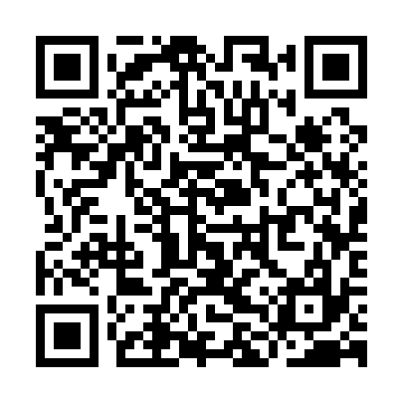 QR code for YLS137