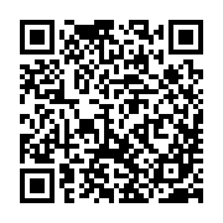 QR code for YNR387
