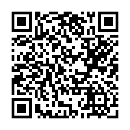 QR code for YNX335