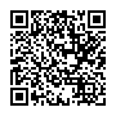 QR code for YPN313