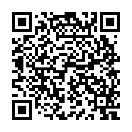 QR code for YPS385