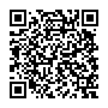 QR code for YPV410