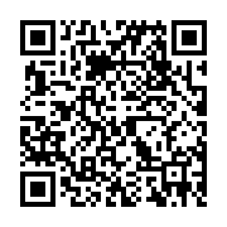 QR code for YQT385