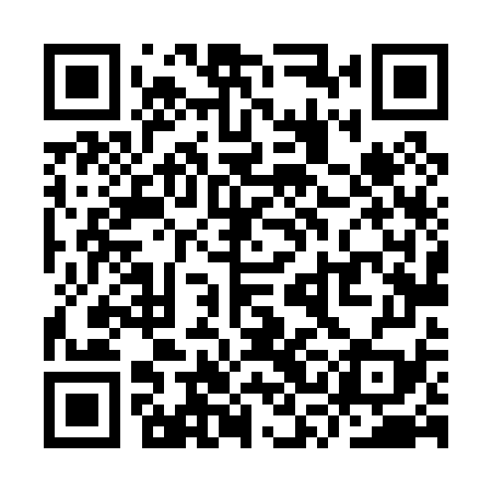 QR code for YSL079
