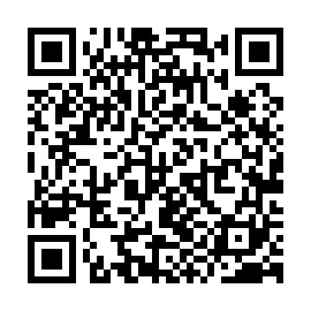 QR code for YYL161